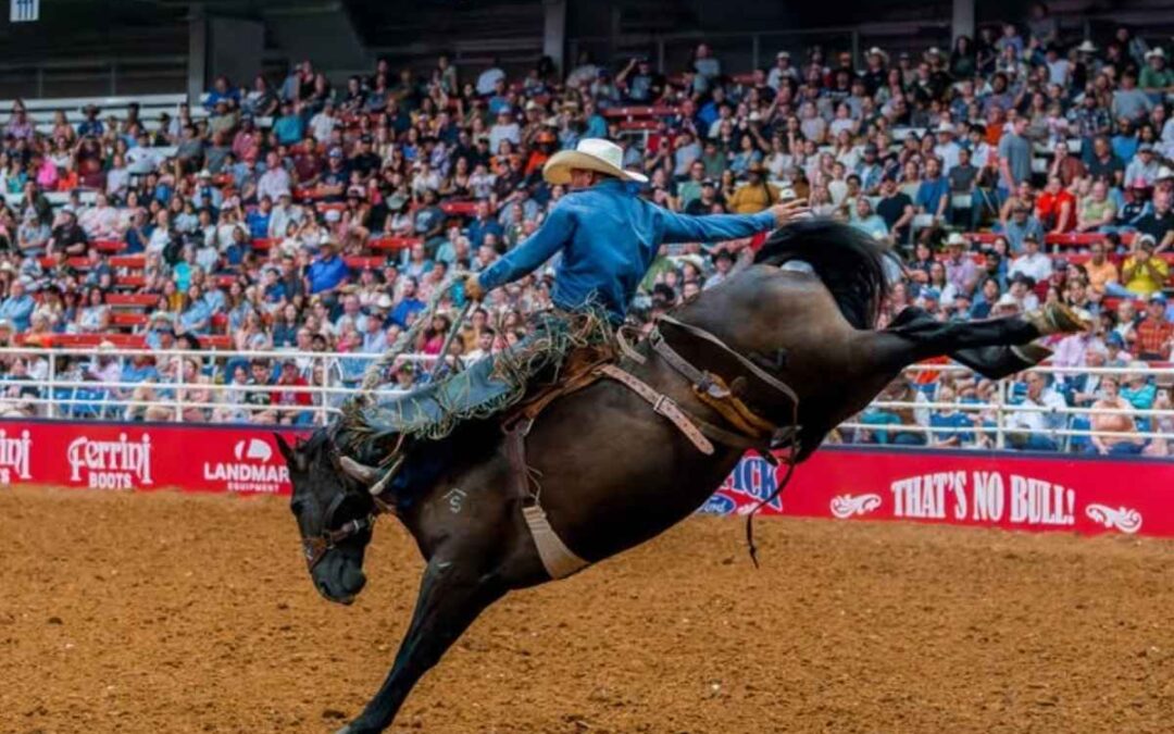 Mesquite Texas