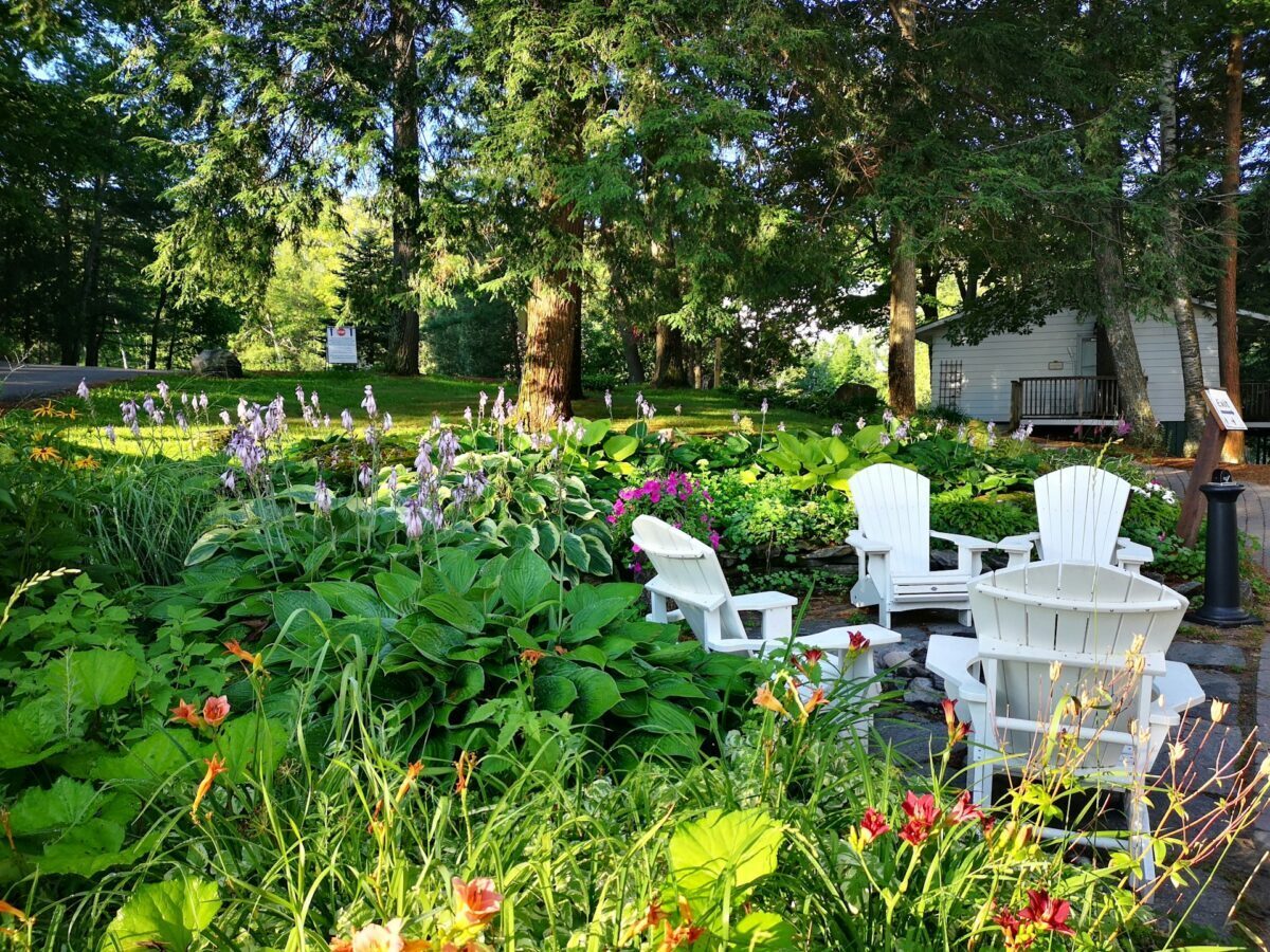 lush green garden with white chairs