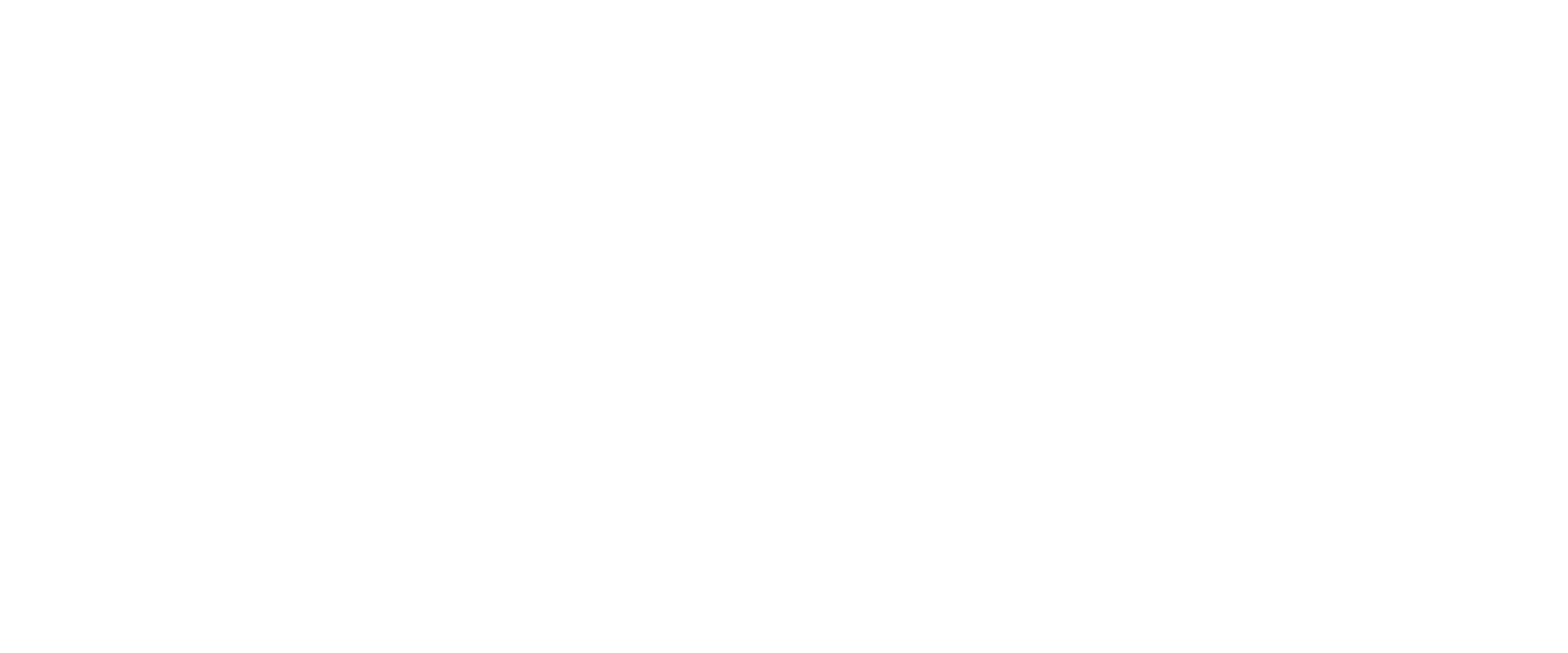 Destination DFW White Logo
