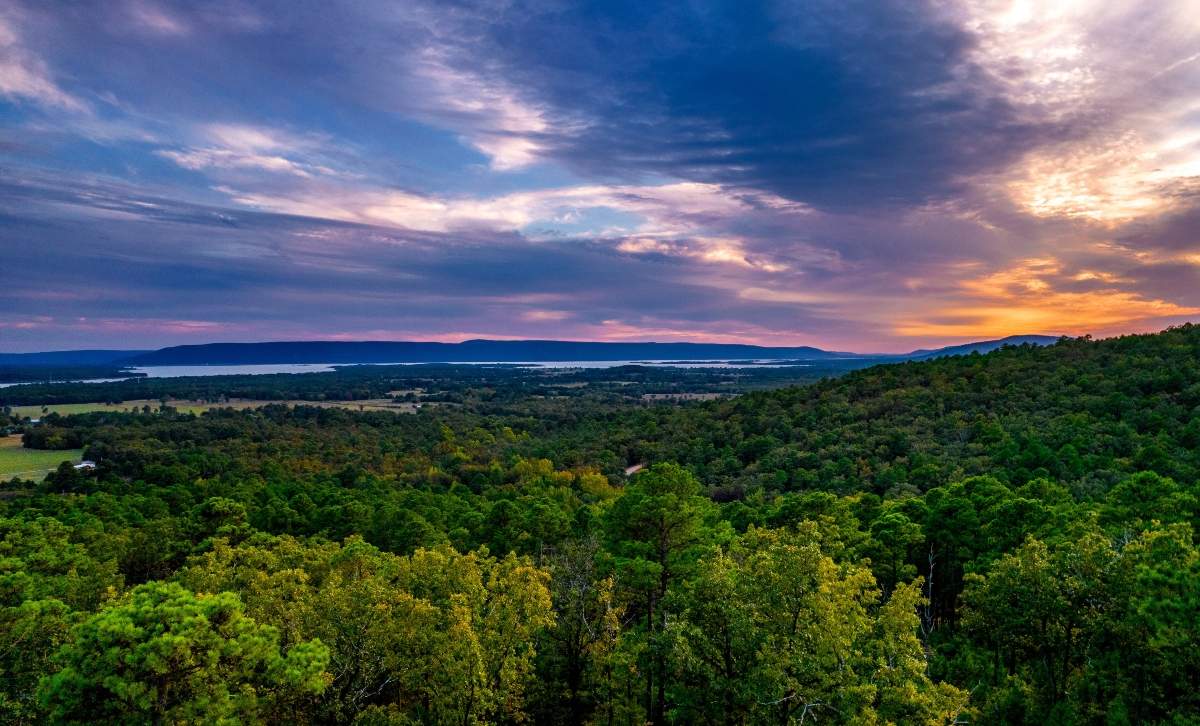 Lot view panorama.