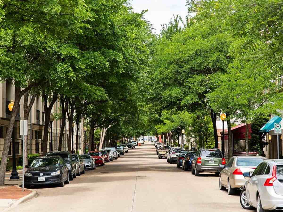 Picture showing a street in updown Dallas lined with cars, trees and buildings for article The Cost of Living in DFW for newcomers moving to DFW.